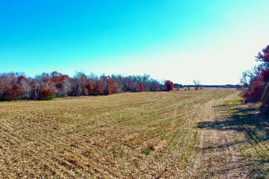 NA Flamingo Street, Bradford Township, MN 55040 - Image #3