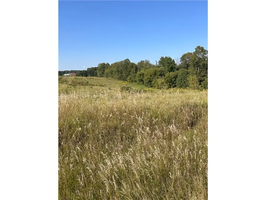 Lot 2 166th Street, Dresser, WI 54009 - Image #2