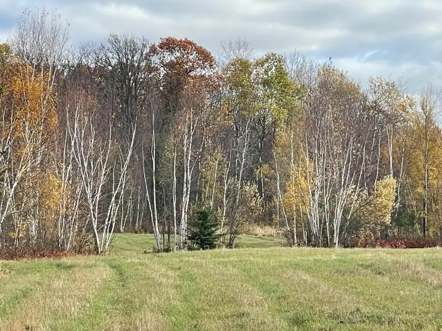 TBD Loon Lake Road, Mission Township, MN 56441 - Image #3