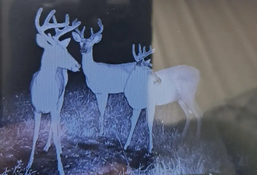 XXX Lot 4 Bl 2 Hawthorn Road N, Hinckley, MN 55037 - Image #2