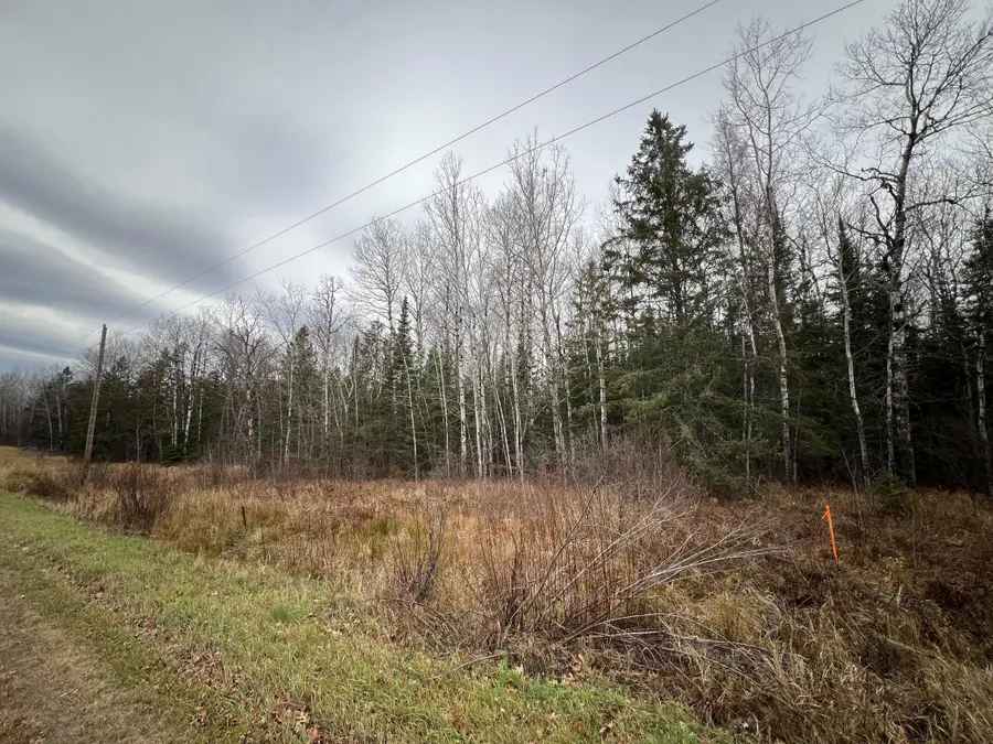 TBD Townline Rd, Hibbing, MN 55746 - Image #2