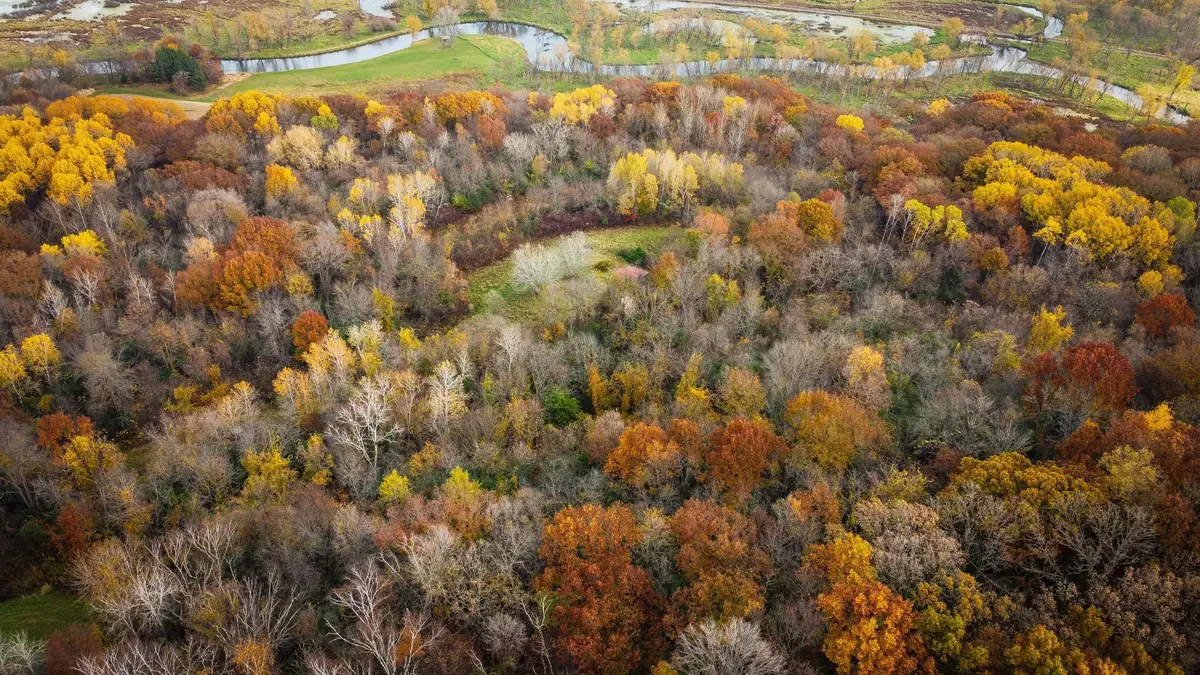 S3399 County Road P, Buffalo, WI 54629 - Image #1