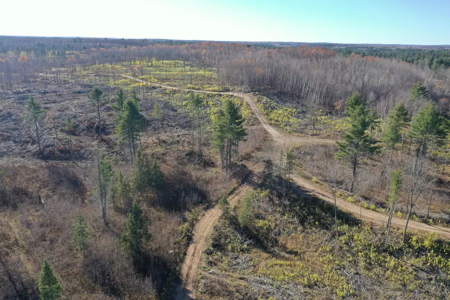 TBD N Larsen Road, Lenroot, WI 54843 - Image #3