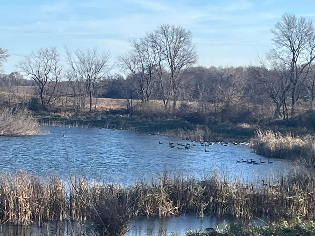 18345 102nd Street, Young America, MN 55397 - Image #1