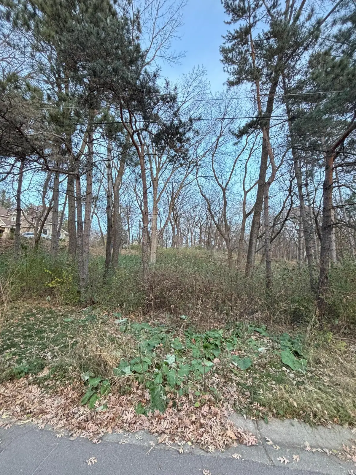 12786 Denmark Avenue, Apple Valley, MN 55124 - Image #1