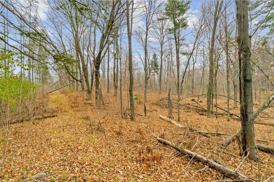 TBD 110th Street, Bone Lake, WI 54853 - Image #2