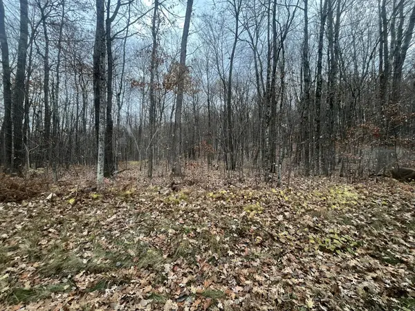 TBD Ham Lake Road, Sand Lake Twp, WI 54876