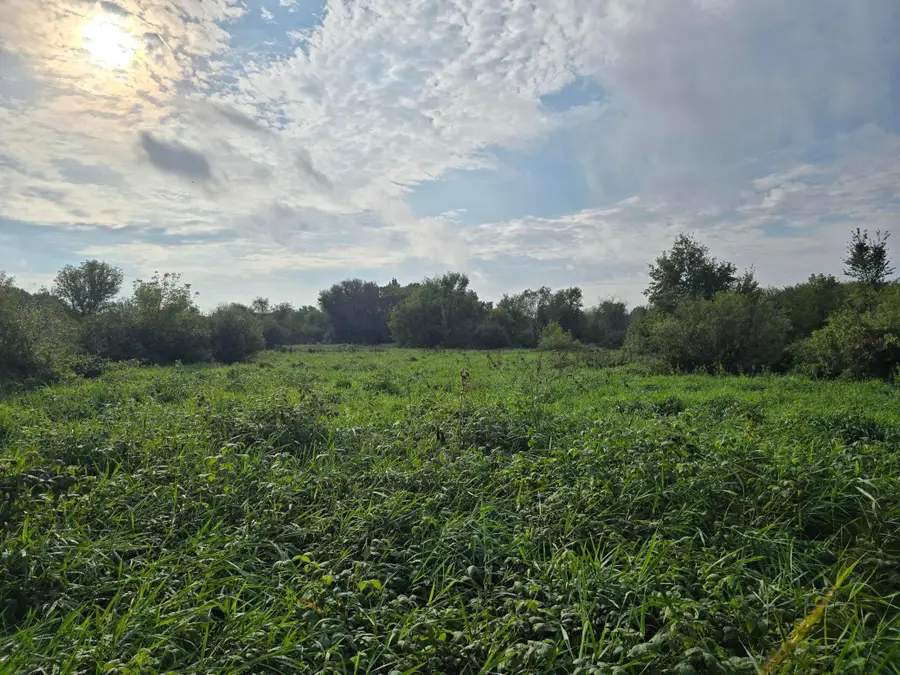 TBD Tbd, Ham Lake, MN 55304 - Image #2