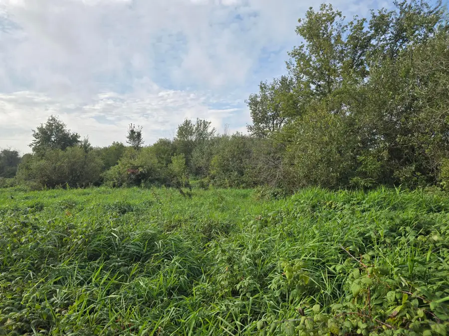 TBD Tbd, Ham Lake, MN 55304 - Image #3