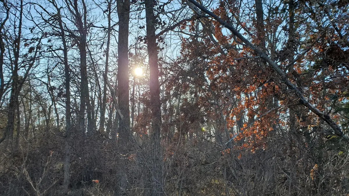 tbd Division Street, Bemidji, MN 56601 - Image #1