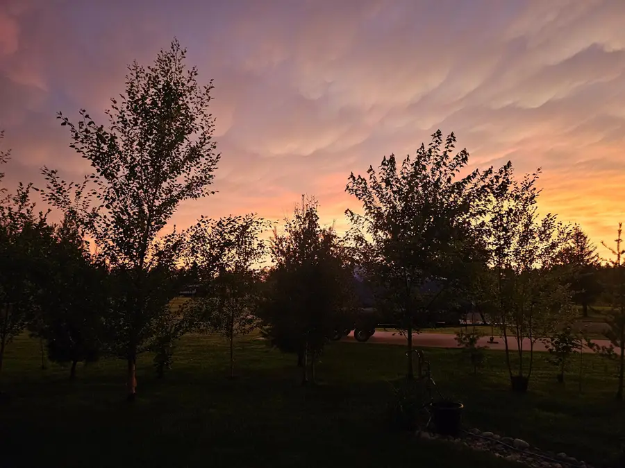 Lot 130 Hurtig Road, Pequot Lakes, MN 56472 - Image #2