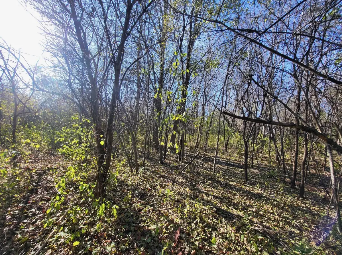 TBD 438th Street, Harris, MN 55032 - Image #1