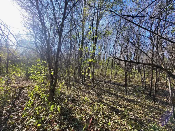 TBD 438th Street, Harris, MN 55032