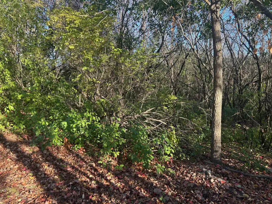 TBD 438th Street, Harris, MN 55032 - Image #3