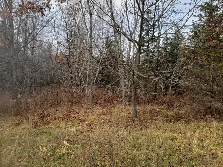 Lot 2 & 3 County Road M / 202nd St, Star Prairie, WI 54026 - Image #3