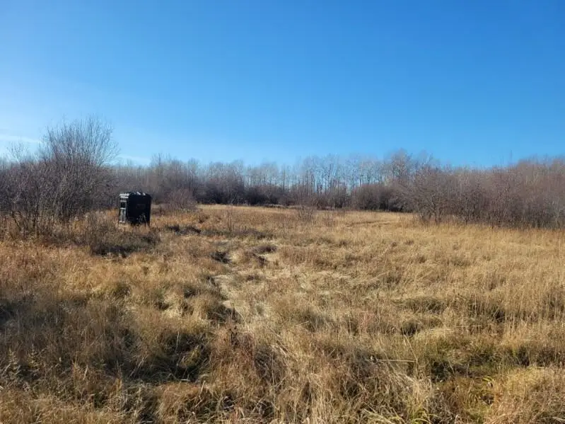 XXX 29th Avenue Sw, Baudette, MN 56623 - Image #3