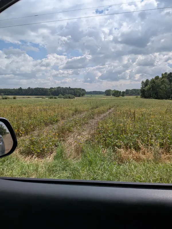 TBD 130th Avenue, Brunswick Twp, MN 55051