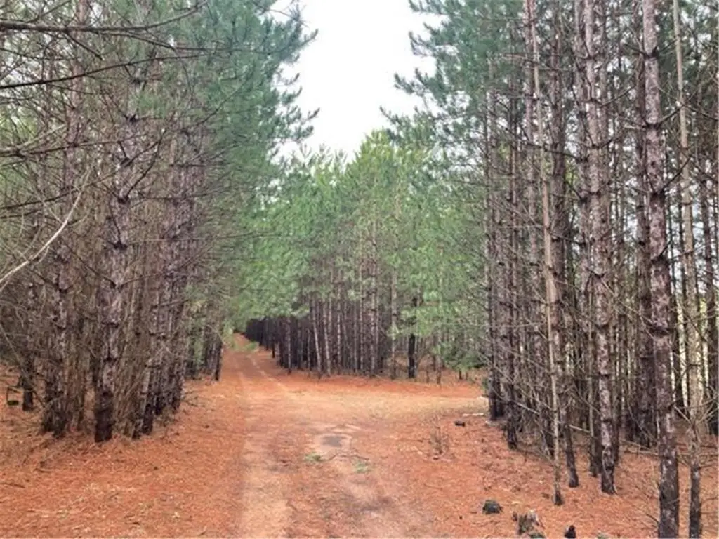 XXX Hay Creek Boulevard, Grantsburg, WI 54840 - Image #1