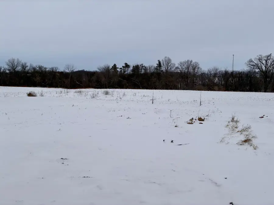 911 3rd Street, Wanamingo, MN 55983 - Image #3