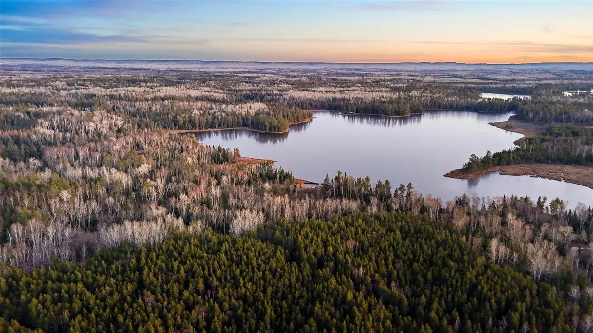 TBD Arthur Lake, Babbitt, MN 55706 - Image #1