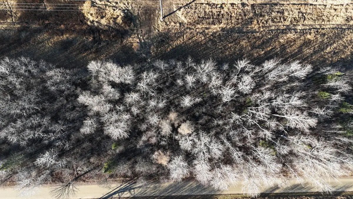 Parcel B Parameter Road, Deer River, MN 56636 - Image #1