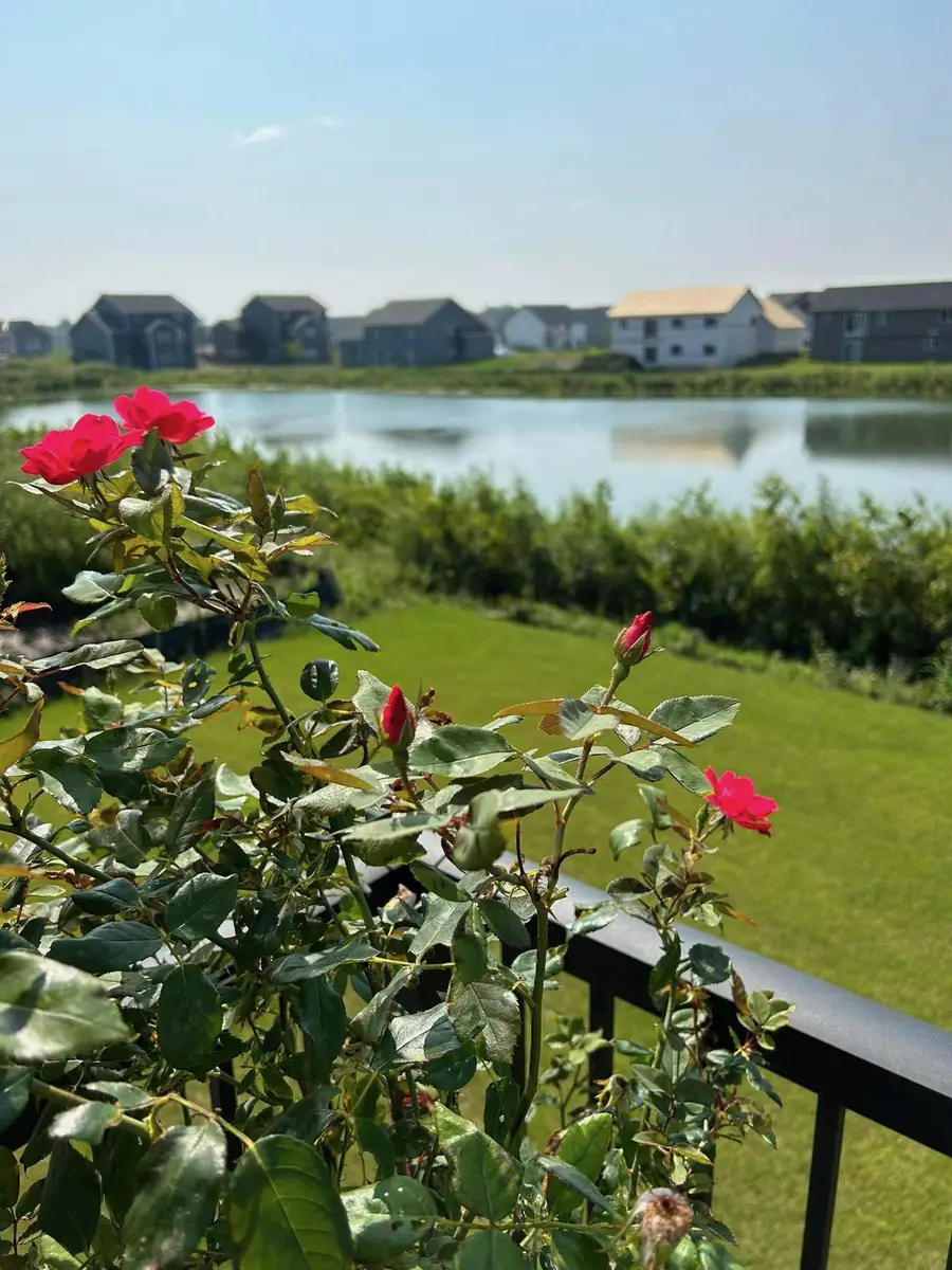 5336 W 177th Street, Lakeville, MN 55044 - Image #3