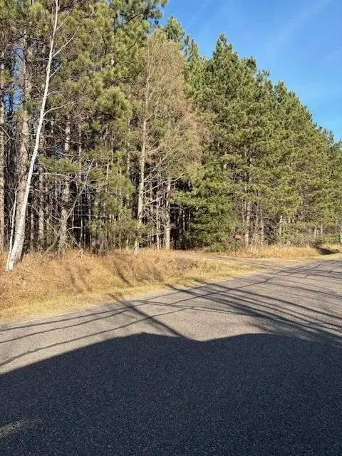 10030 Moose Lake Road, Round Lake, WI 54843 - Image #1