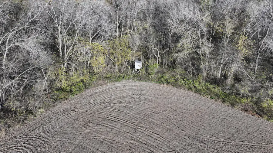 TBD County 10, Caledonia Township, MN 55921 - Image #2