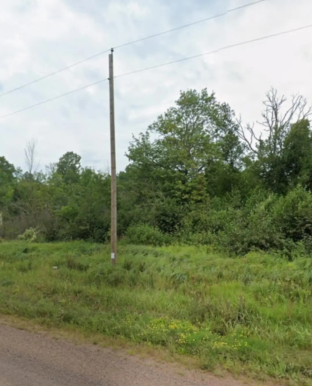 74095 Rutabaga Road, New Dosey Township, MN 55072 - Image #1