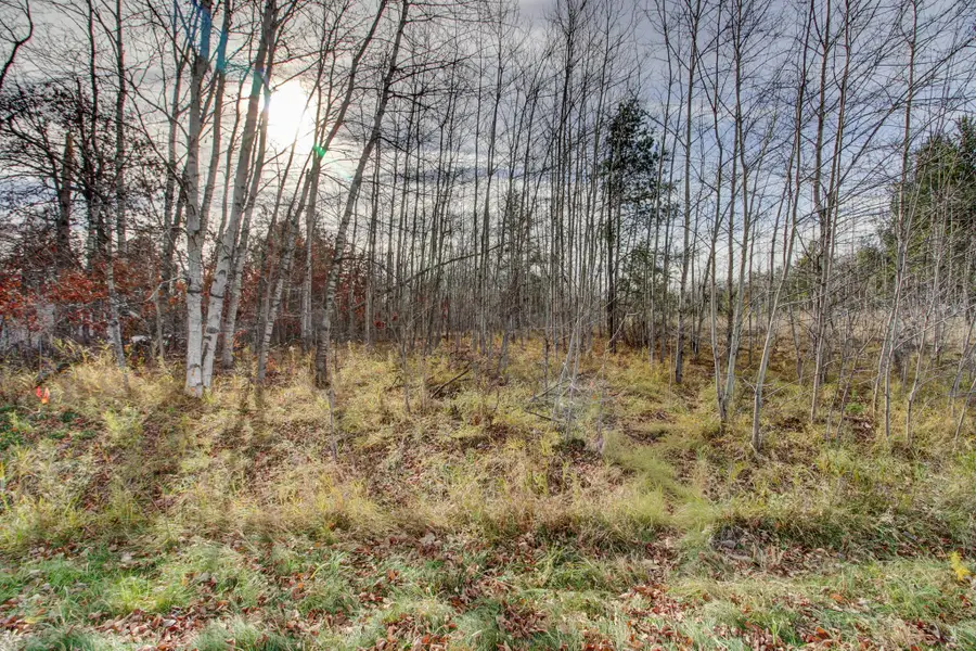 7557 Fallen Leaf Circle, Pequot Lakes, MN 56472 - Image #3