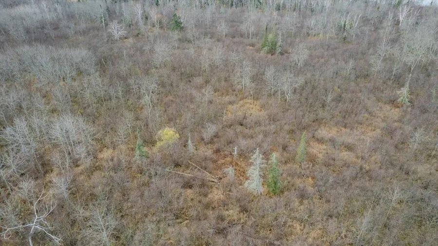 8301 Camp Amnicon Rd Lot 2, Lakeside, WI 54874 - Image #3