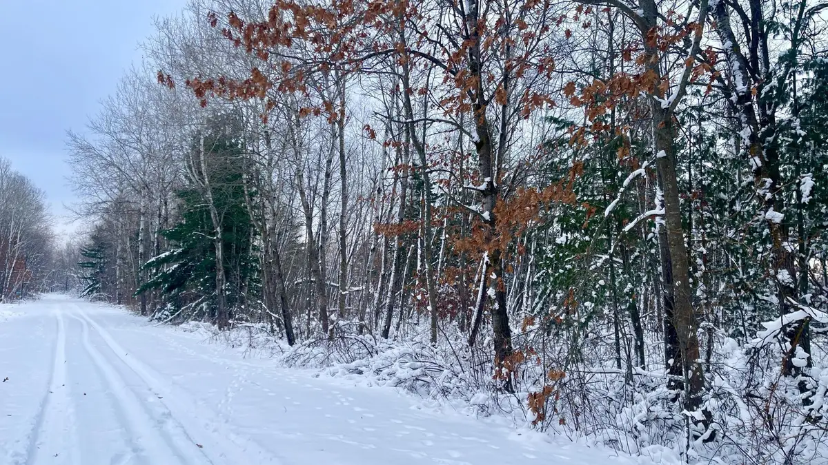 TBD Spruce Circle, Roosevelt, MN 56450 - Image #1