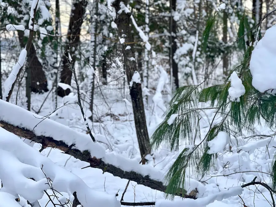 TBD Spruce Circle, Roosevelt, MN 56450 - Image #3