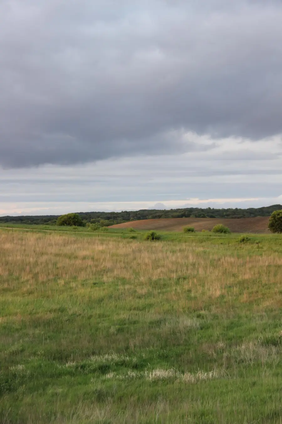 TBD Norwegian Road, Vining, MN 56588 - Image #2