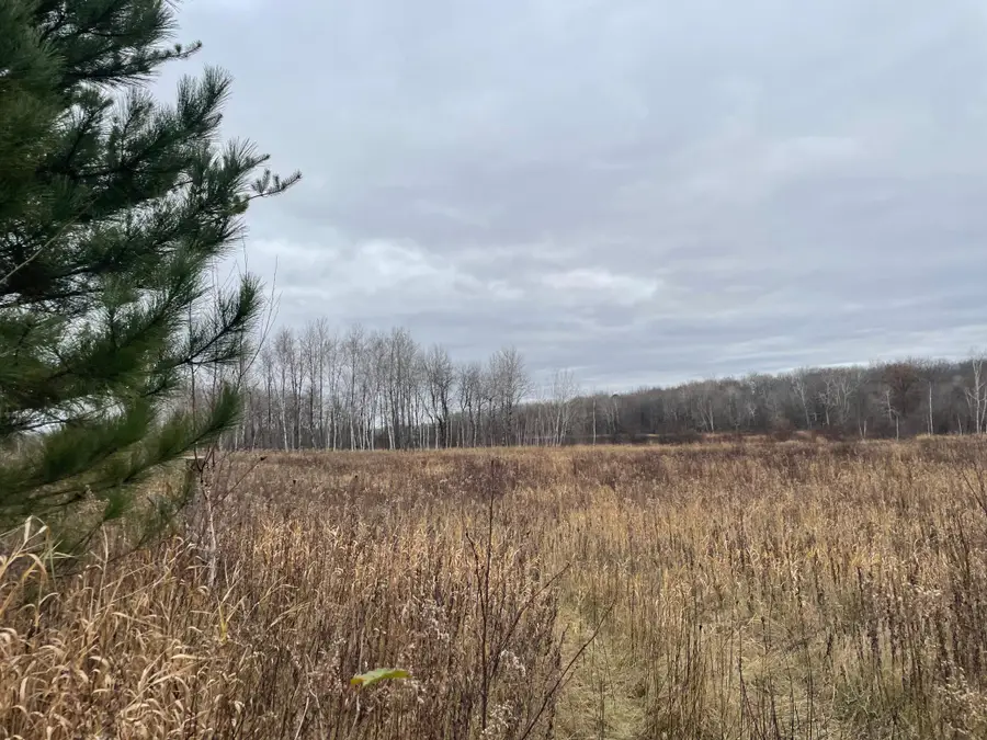 TBD (Parcel C) Olson Road, Hinckley, MN 55037 - Image #2
