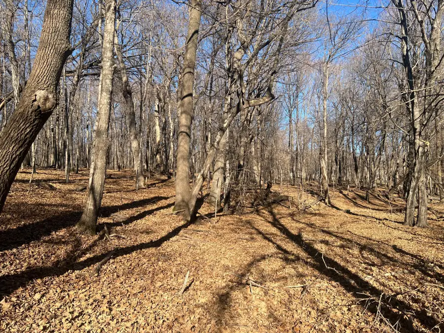 TBD Moe Hall Road Nw, Garfield, MN 56332 - Image #2