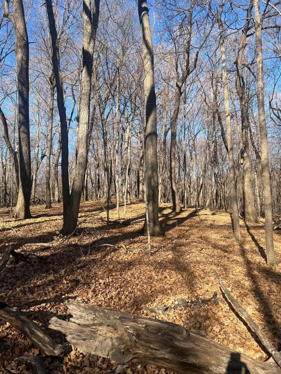 TBD Moe Hall Road Nw, Garfield, MN 56332 - Image #3