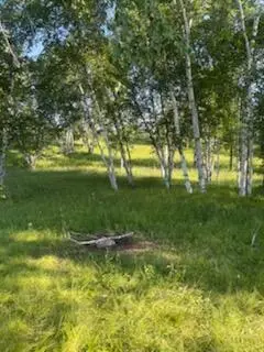 15370 Mallard, Mission Creek, MN 55007 - Image #1