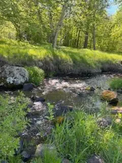 15370 Mallard, Mission Creek, MN 55007 - Image #2