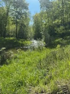 15370 Mallard, Mission Creek, MN 55007 - Image #3