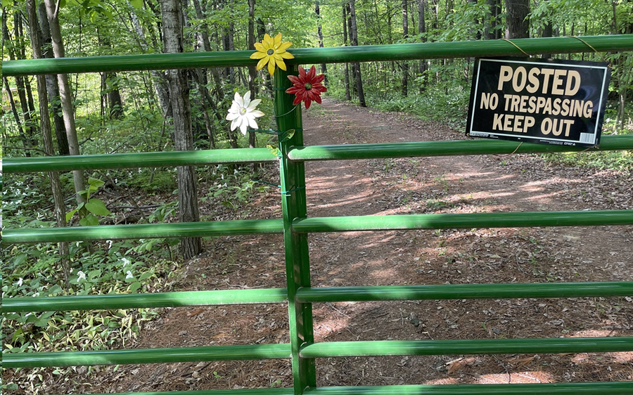 15xxx Lofty Pines Road, Pine City, MN 55063 - Image #2