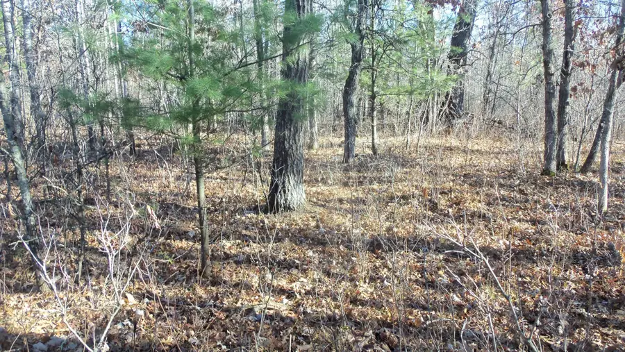 Lot 1 Ferry Rd, Grantsburg Town, WI 54840 - Image #2