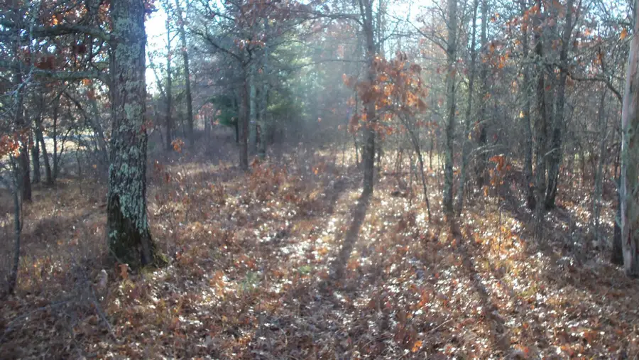 Lot 5 Mclain Rd, Grantsburg Town, WI 54840 - Image #3