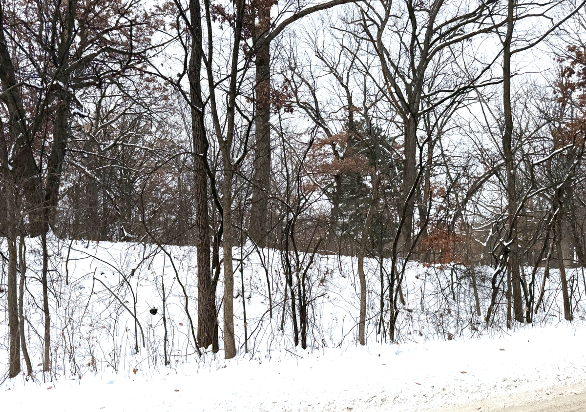 377 Totem Road, Saint Paul, MN 55119 - Image #1