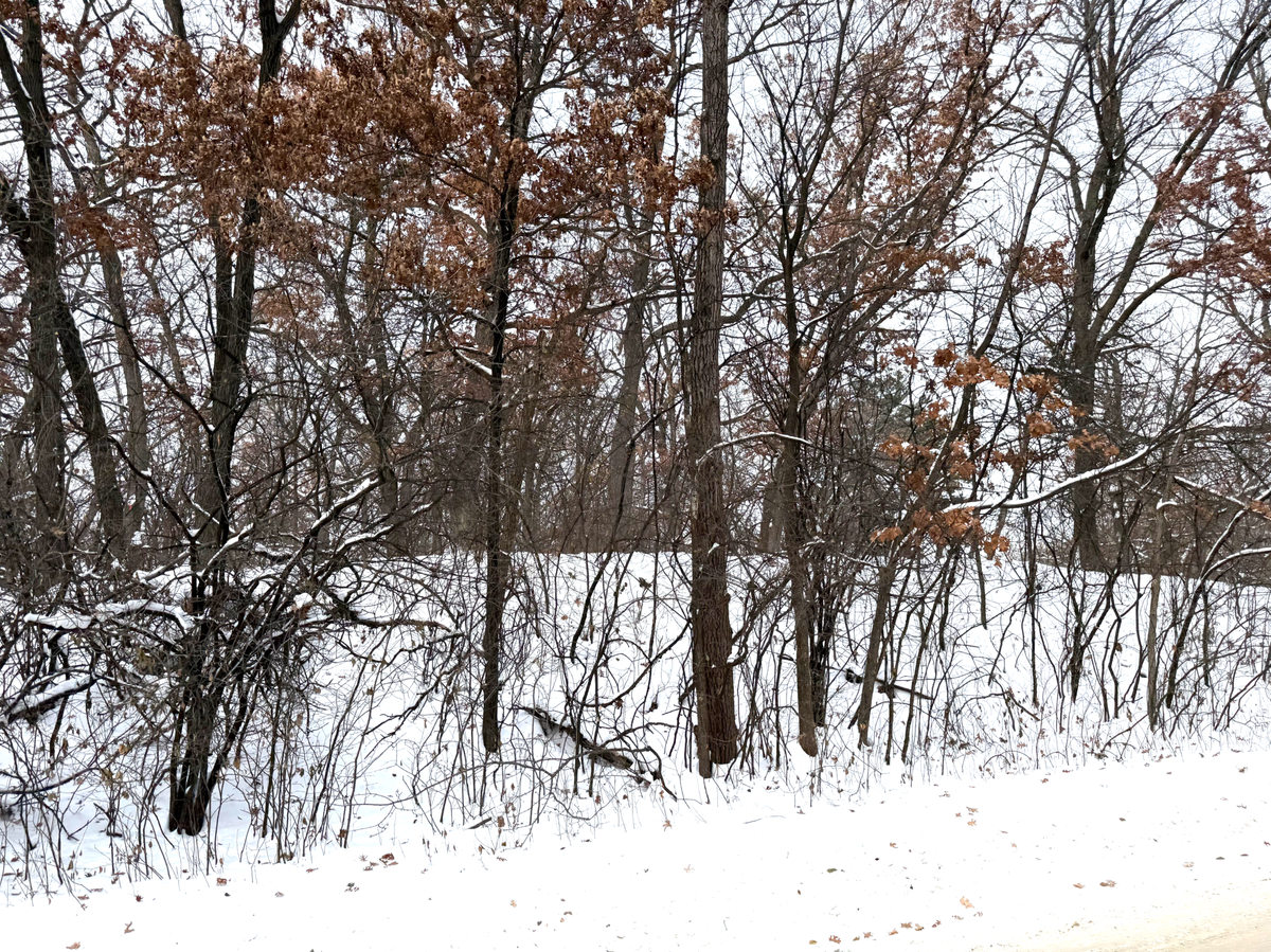 381 Totem Road, Saint Paul, MN 55119 - Image #1