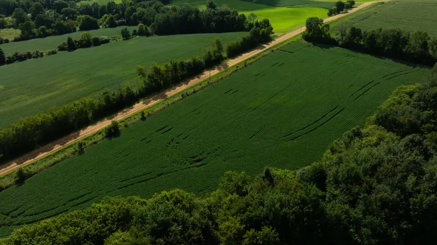 Lot 4 280th Street, Glenwood City, WI 54013 - Image #3