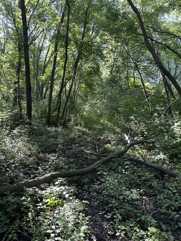 XXX 50th Street Se, Franklin Twp, MN 55313