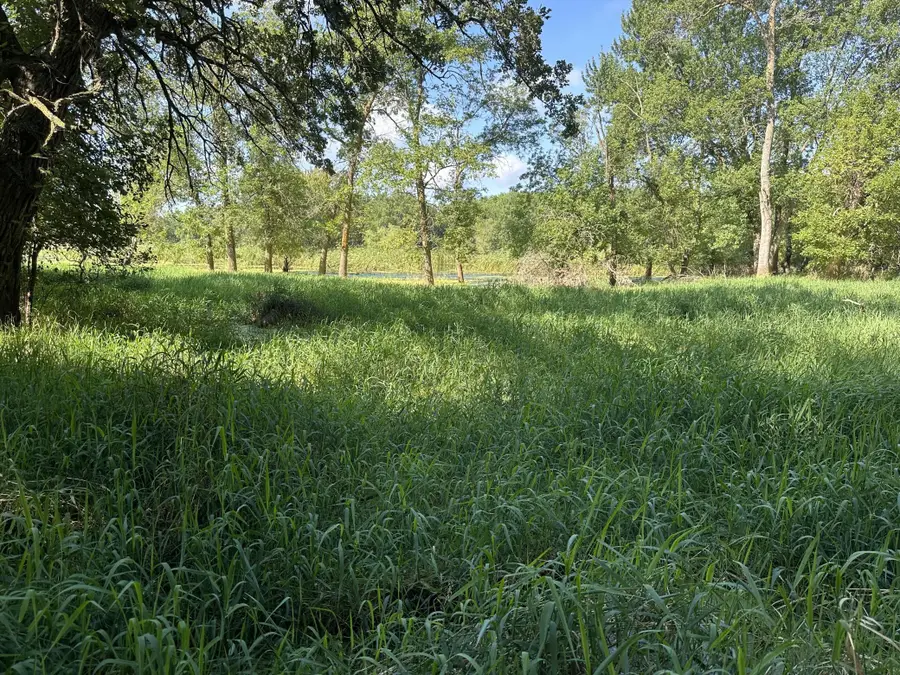 XXX 50th Street Se, Franklin Township, MN 55313 - Image #3