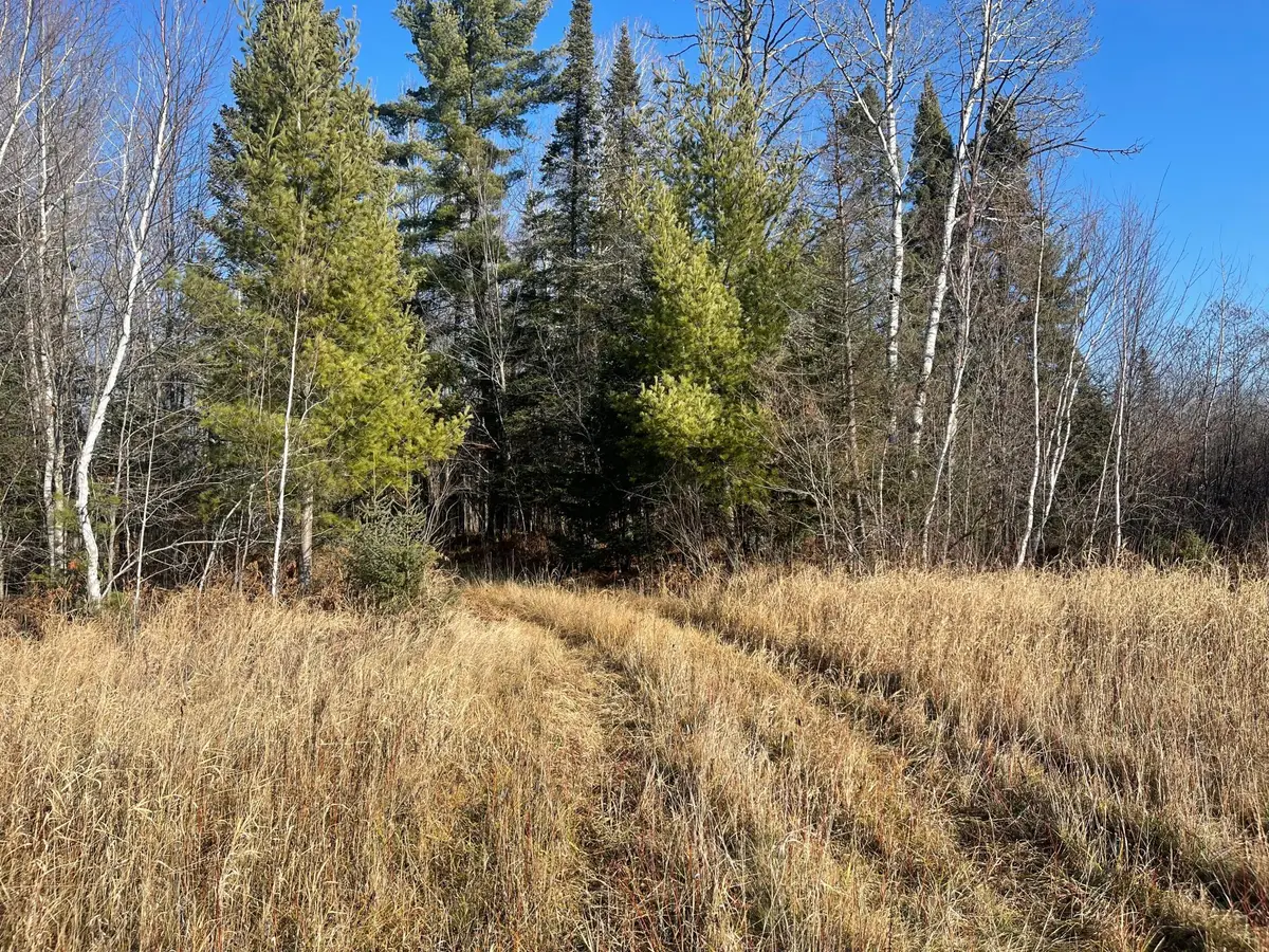 14730 Cr-25, Wawina, MN 55736 - Image #1