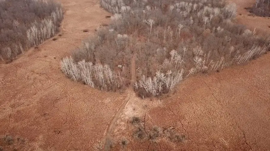 xxxx 73rd Street, Lakin, MN 56338 - Image #3